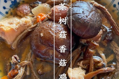 滋补茶树菇香菇鸡肉汤