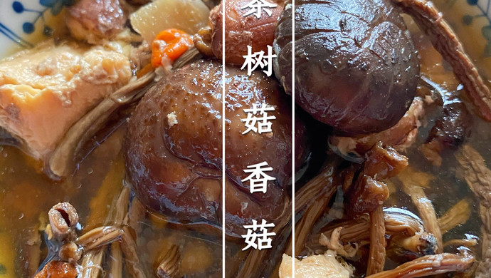 滋补茶树菇香菇鸡肉汤