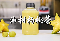 油柑杨桃茶的做法，【暴小兔茶饮】免费奶茶教程的做法