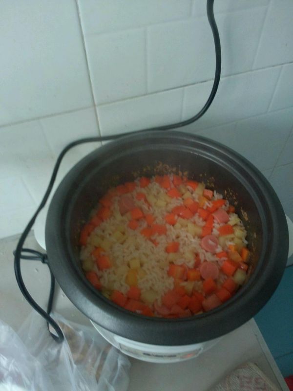 胡萝卜土豆闷饭