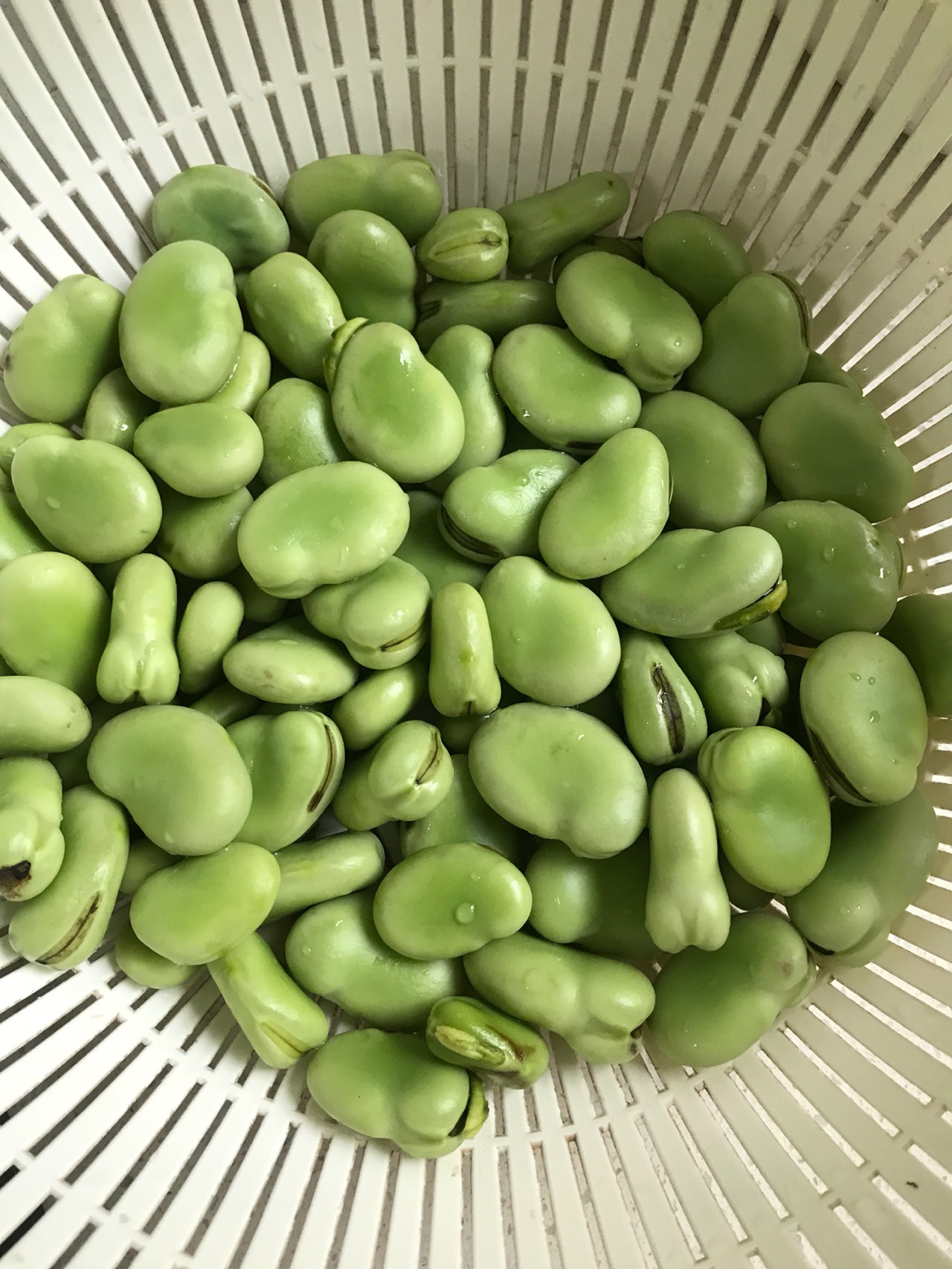 葱油蚕豆怎么做_葱油蚕豆的做法_豆果美食