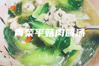 青菜平菇肉圆汤