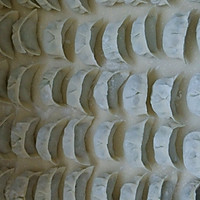 什锦猪肉饺的做法图解13