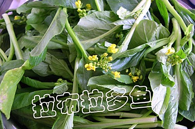 清炒菜心