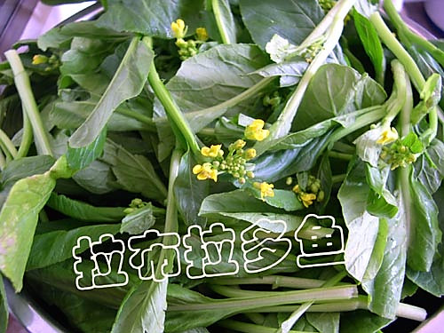 清炒菜心的做法