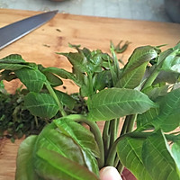 自制香椿酱的做法最新的做法图解2