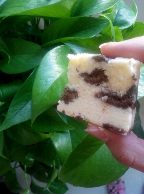 豹纹控的乳酪蛋糕