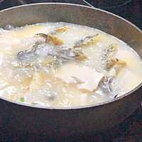 昂刺鱼豆腐汤的做法图解9