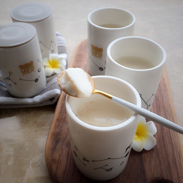 纯素酸豆乳（小熊酸奶机）