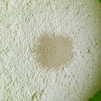 发面葱肉饼的做法图解1