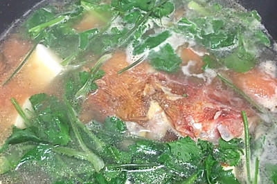 番茄豆腐石九公鱼汤