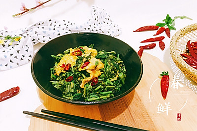 辣炒香椿鸡蛋