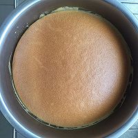 蜂蜜海绵蛋糕的做法图解15