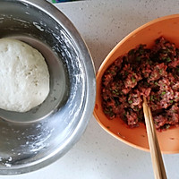 #餐桌上的春日限定#手工牛肉饺子的做法图解19