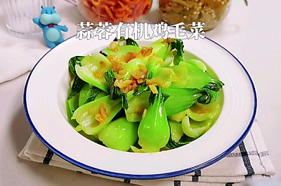 蒜蓉有机鸡毛菜