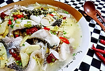 酸萝卜青花椒鱼-蜜桃爱营养师私厨的鱼料理-健身减肥食谱的做法