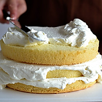 浪漫清新的花朵蛋糕 的做法图解3