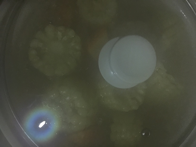胡萝卜玉米排骨汤的做法图解3