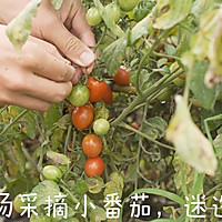 意大利佛卡夏的做法图解1