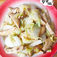 皑若山雪—香菇炒洋白菜（入门）