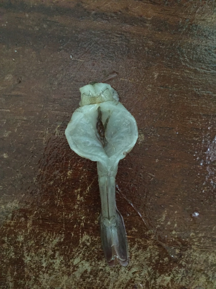 蒜蓉开背虾的做法图解5