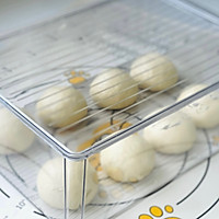 抹茶奶酥排包的做法图解6