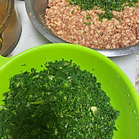 荠菜饺子、的做法图解1