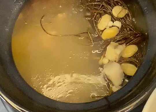 广东煲汤 五指毛桃茯苓猪骨汤