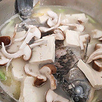 豆腐香菇鲤鱼汤的做法图解7
