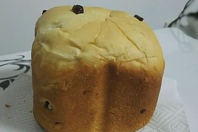 东菱云智能面包机之淡奶油蔓越莓面包