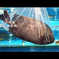 #美食视频挑战赛#清蒸花金鼓鱼的做法图解1