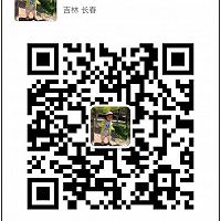 宝宝辅食：芋头虾仁粥的做法图解6