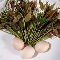 #餐桌上的春日限定#春笌煎鸡蛋的做法图解1