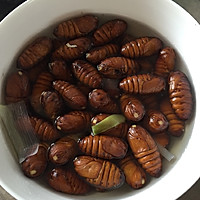 水煮蚕蛹的做法图解5