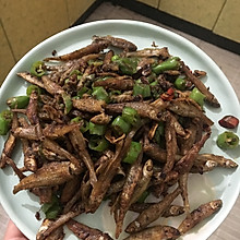 青椒炒小河鱼