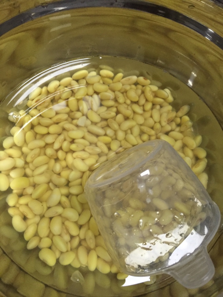自制豆腐的做法图解4