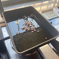#LG御见美好食光#葫芦肉馅饺子的做法图解3