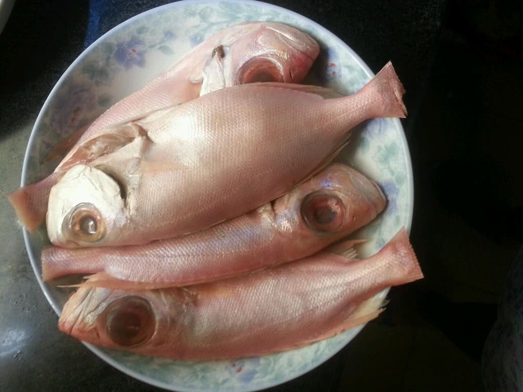 红烧红鱼怎么做_红烧红鱼的做法_豆果美食