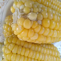 炖豆角的做法图解4