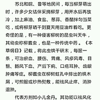 柳树叶的包子的做法图解9