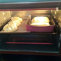 #东菱魔力果趣面包机之提子面包的做法图解12