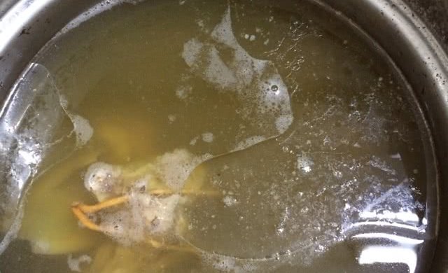 海底椰猪骨汤