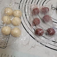 菊花酥的做法图解2