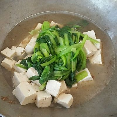 菜鸟减肥 油菜炖豆腐