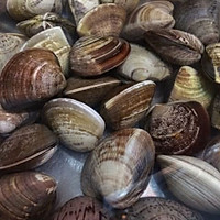 养生减肥的蛤蜊冬瓜汤的做法图解1