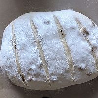 布鲁姆面包（改良一次发酵法）的做法图解9