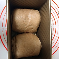 中种法100%全麦吐司的做法图解10