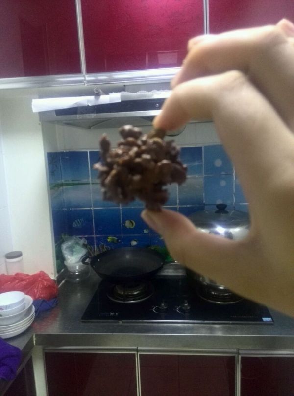 脆脆的巧克力饼干