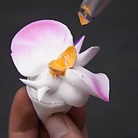 裱花师花卉技艺--蝴蝶兰的做法图解6