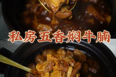 巨好吃、巨下饭的秘制五香牛腩 家常菜